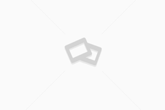 Store Banner