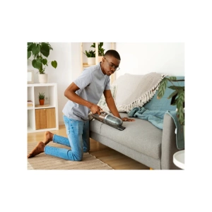 Image of 2 Sitter Upholstery Cleaning