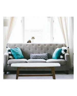 Home cleaning services in Lagos