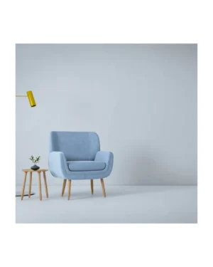 Image of Single Sitter Upholstery Cleaning