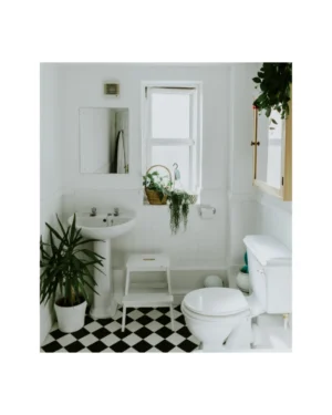 Image for Toilet Washing with Chemicals