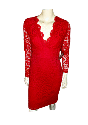 This is the Plunge Lace Bodycon Dress Image