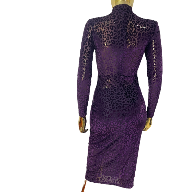 Image of Purple Velvet Dress