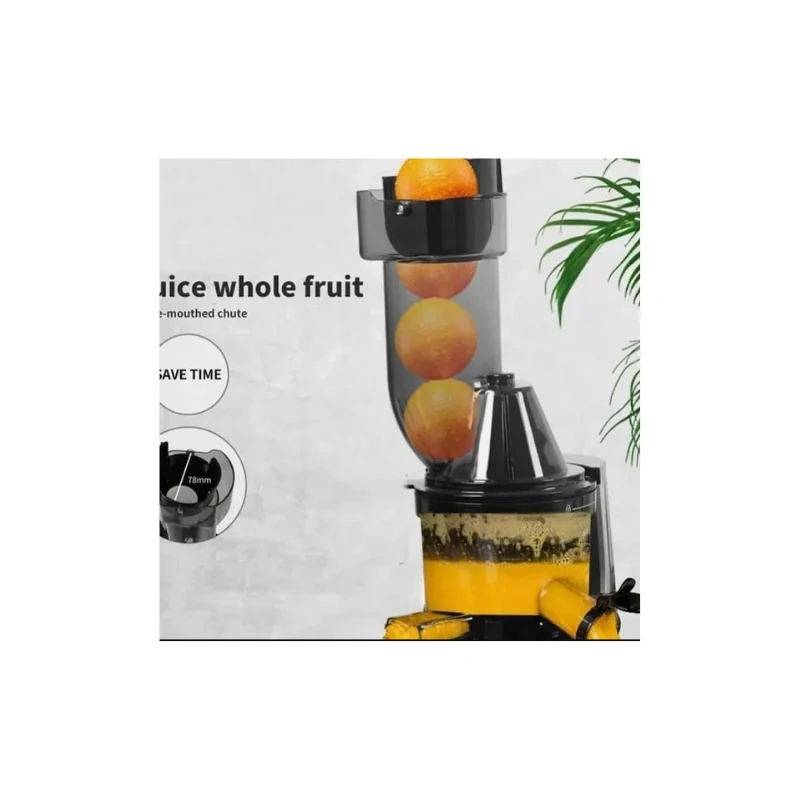 Slow Juicer Cold Press Masticating Juicer1