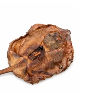 Eja Alabebe (Dried Stingray Fish) – 4 to 6 Pieces per Kg